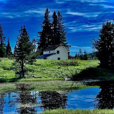 еко орловецъ בטק