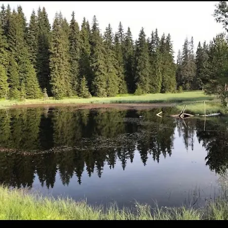 מלון еко орловецъ בטק
