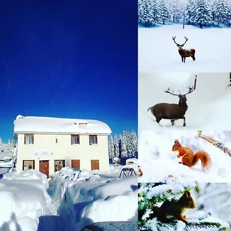 מלון еко орловецъ